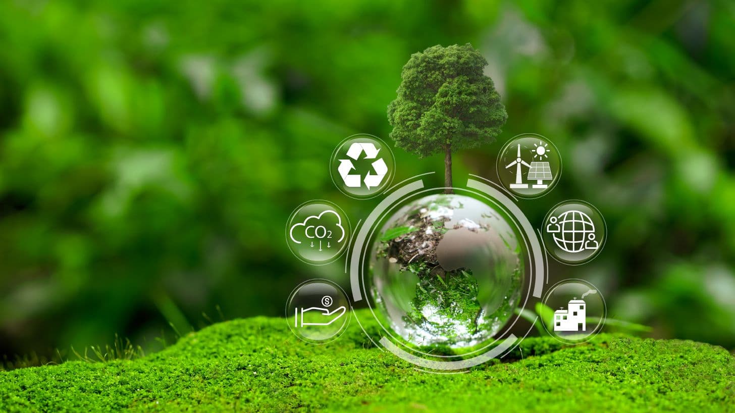 Alcance del Sistema de Gestión Ambiental 