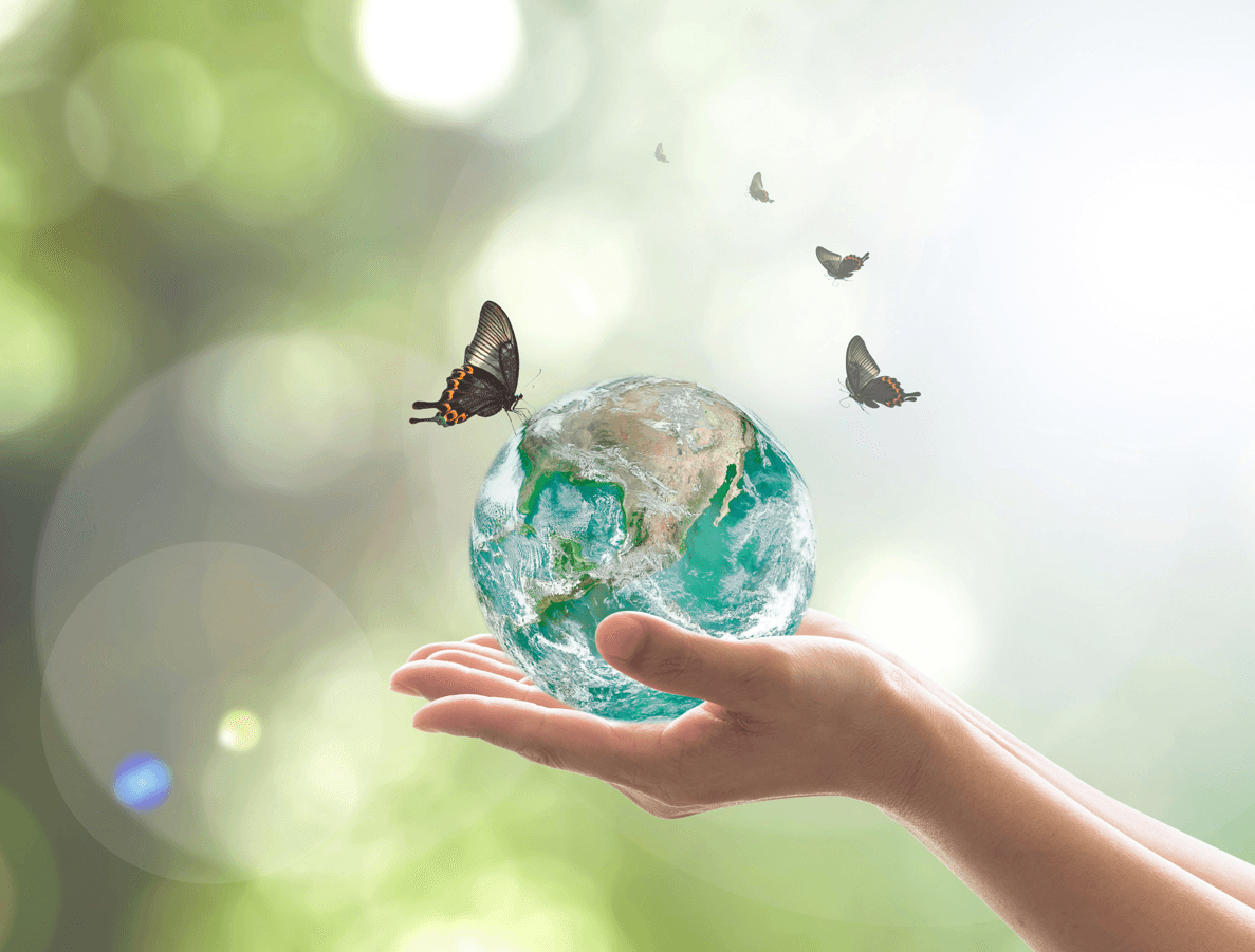 Gestión de Sostenibilidad Externa