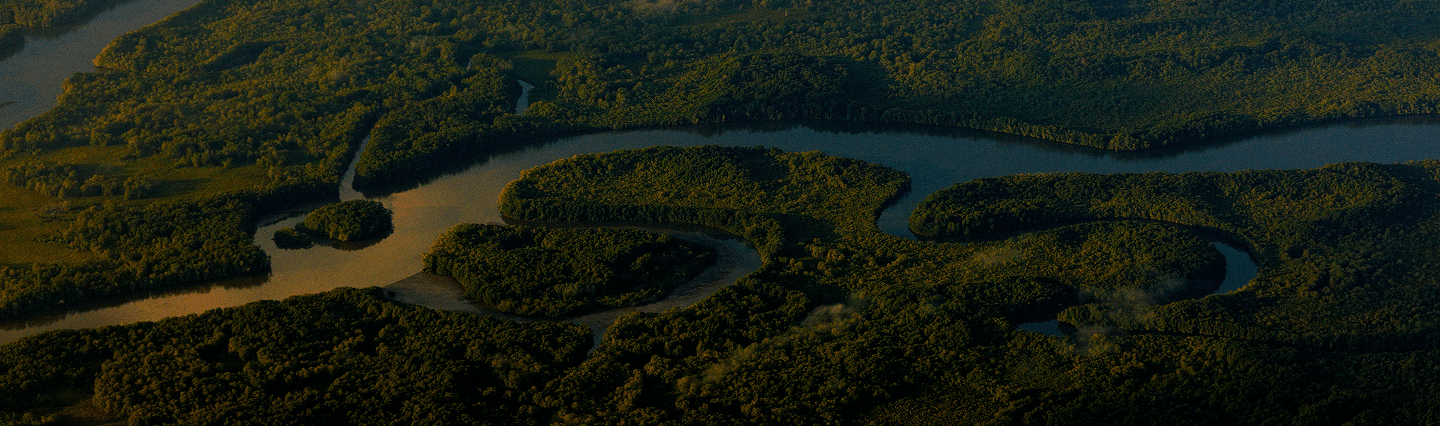 que hacemos background